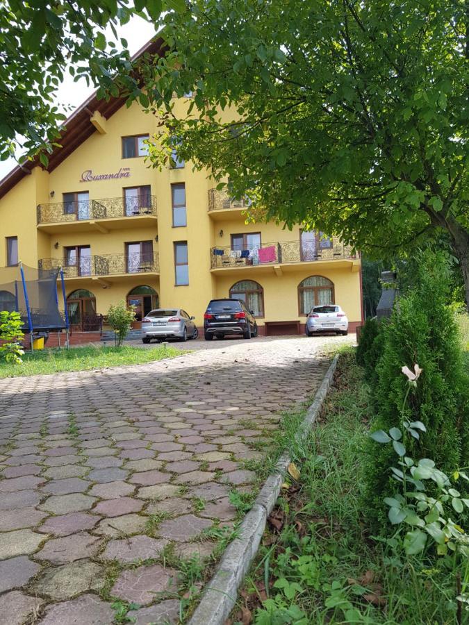 Pensiunea Ruxandra Baile 1 Mai Bagian luar foto