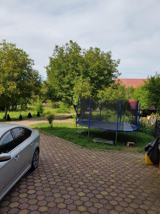 Pensiunea Ruxandra Baile 1 Mai Bagian luar foto